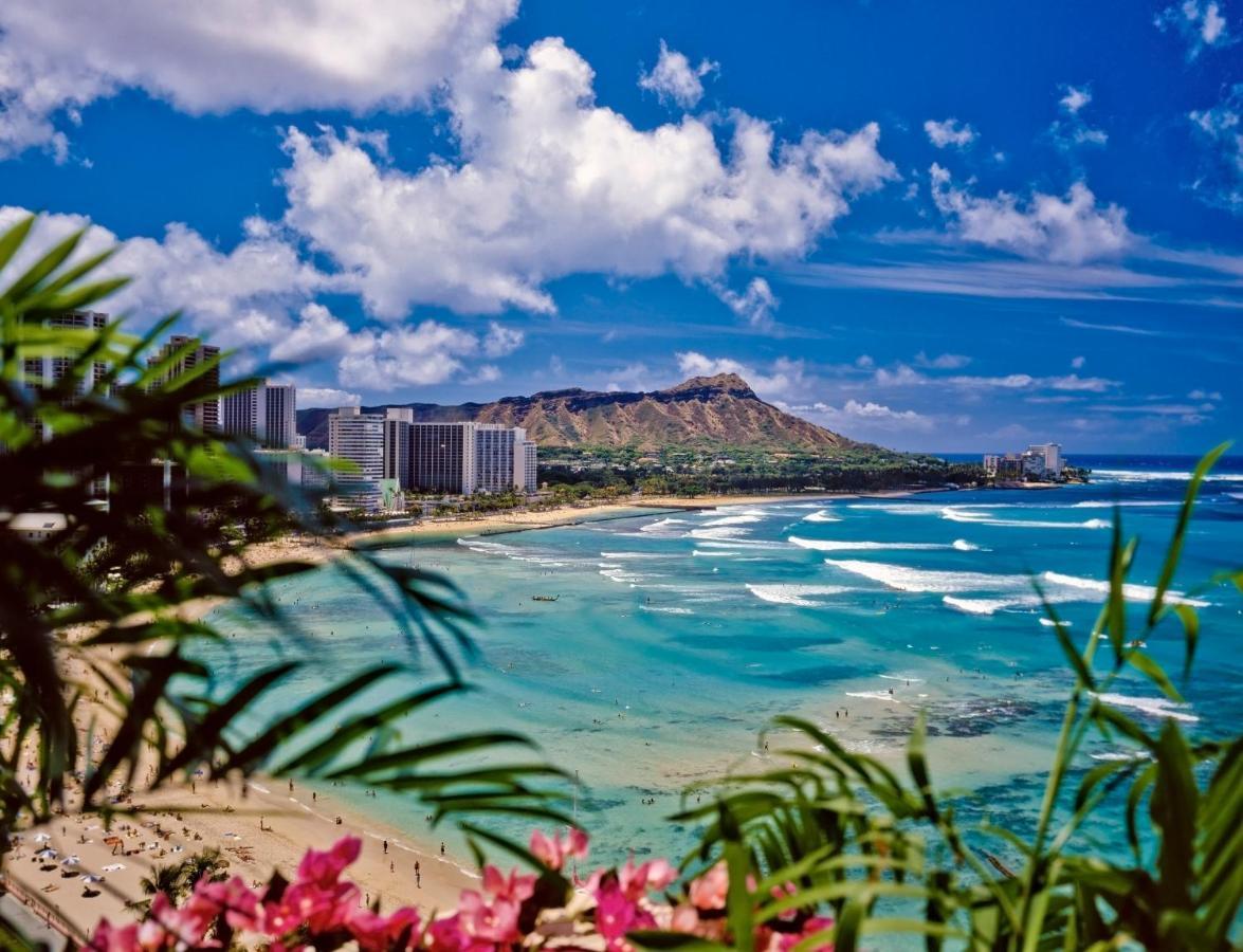 Cozy & Diamond Head View At Waikiki With Parking Apartment Honolulu Ngoại thất bức ảnh