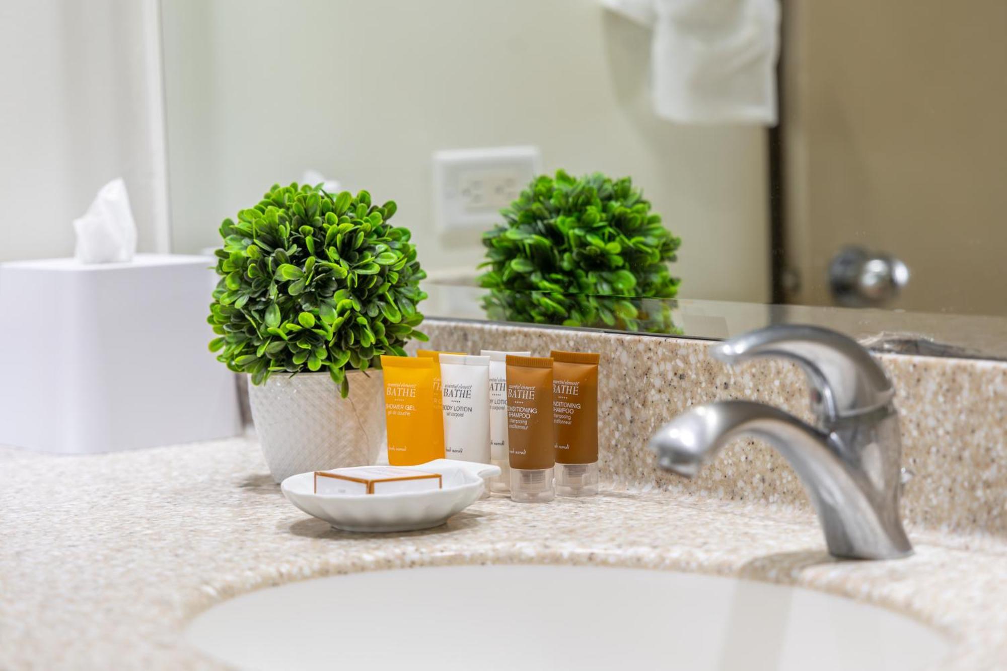 Cozy & Diamond Head View At Waikiki With Parking Apartment Honolulu Ngoại thất bức ảnh